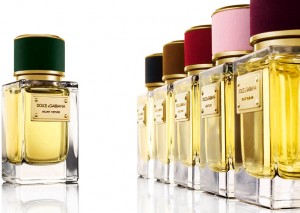 670x476_Quality99_velvetGammeBlancVetiver-1