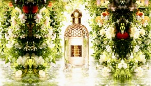 Guerlain-Nerolia-Bianca