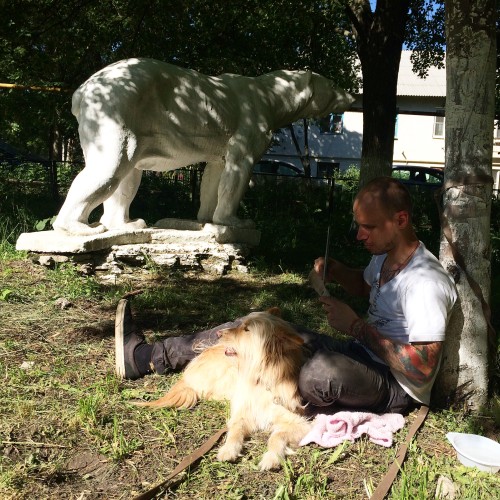 Иван (программист)